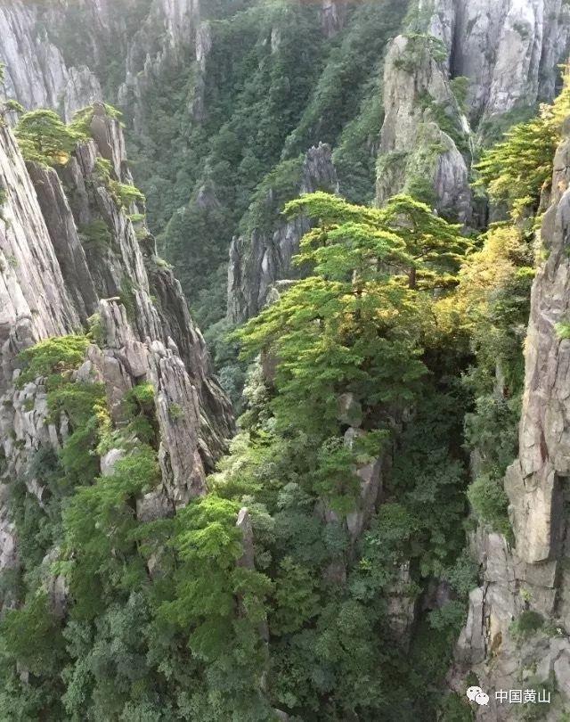 在三角形ABC中角1-角b=角c，角c是角b的2倍角a角b角c各是多少度？这是一个什么三角形？